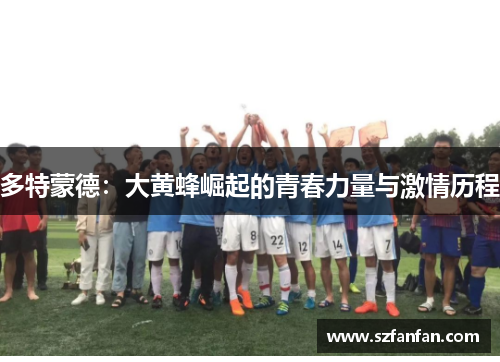 多特蒙德:大黄蜂崛起的青春力量与激情历程