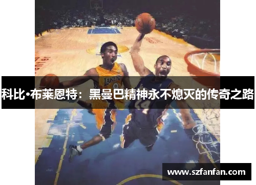 科比·布莱恩特:黑曼巴精神永不熄灭的传奇之路